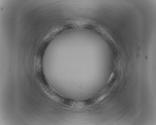 X0000081390599200701252106