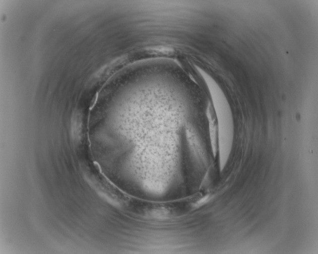 X0000081390600200701252106