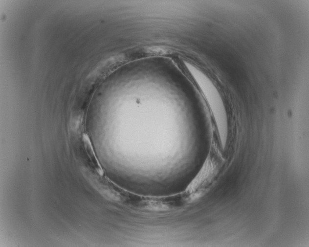 X0000081390601200701252106