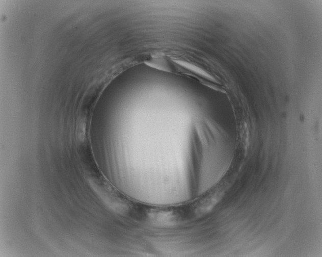 X0000081390602200701252106