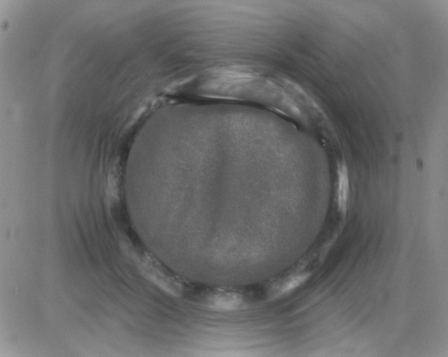 X0000081390604200701252106