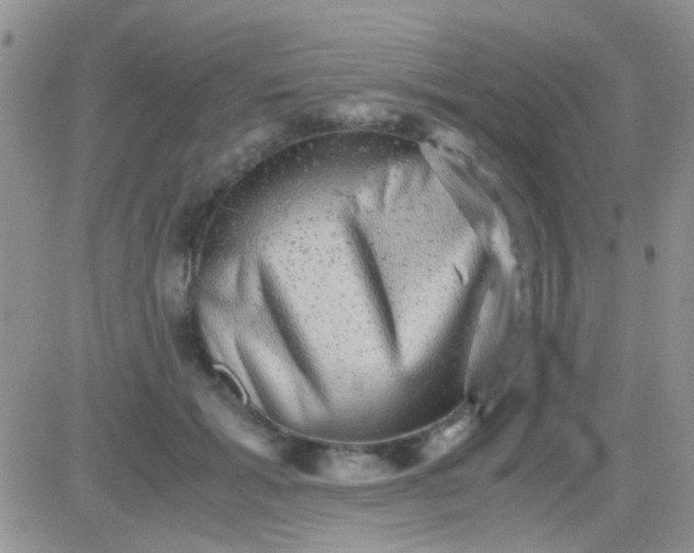 X0000081390605200701252106