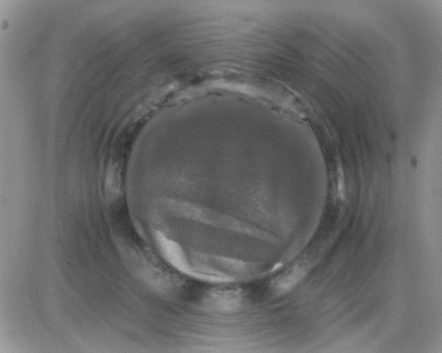 X0000081390606200701252106