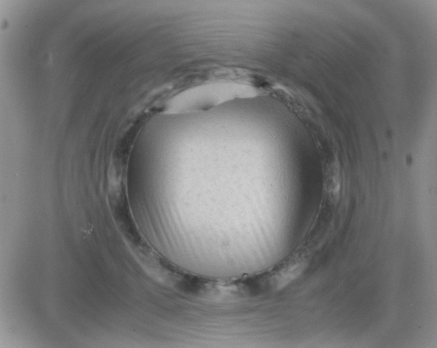 X0000081390607200701252106