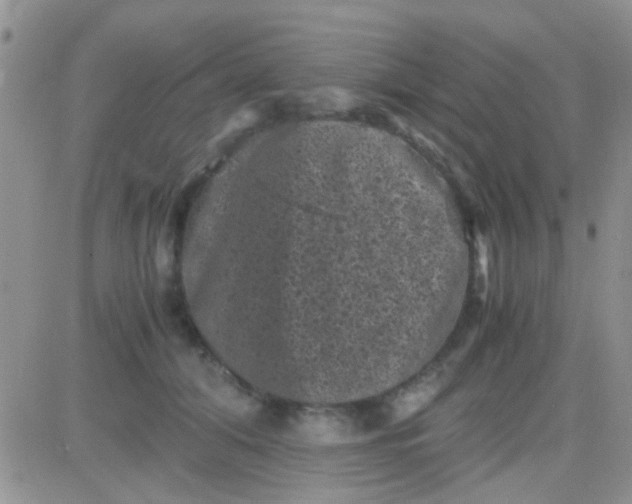 X0000081390608200701252106