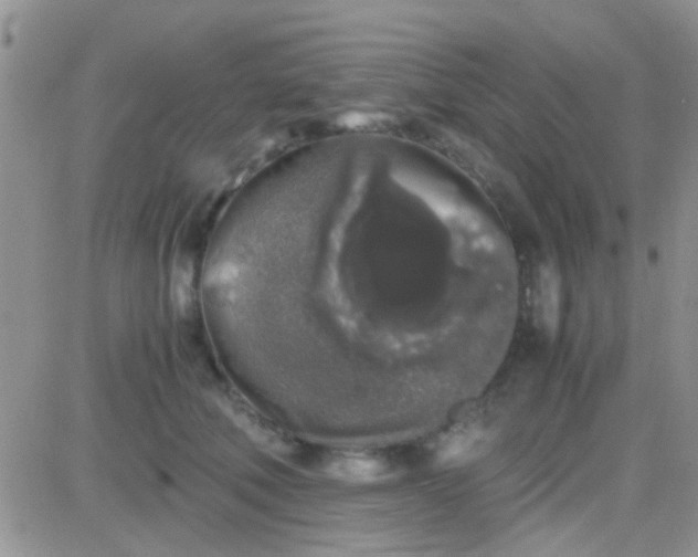 X0000081390610200701252106