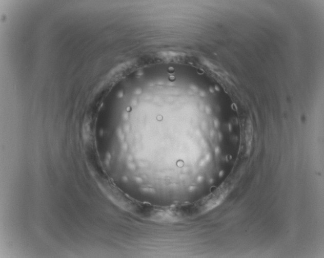 X0000081390611200701252106