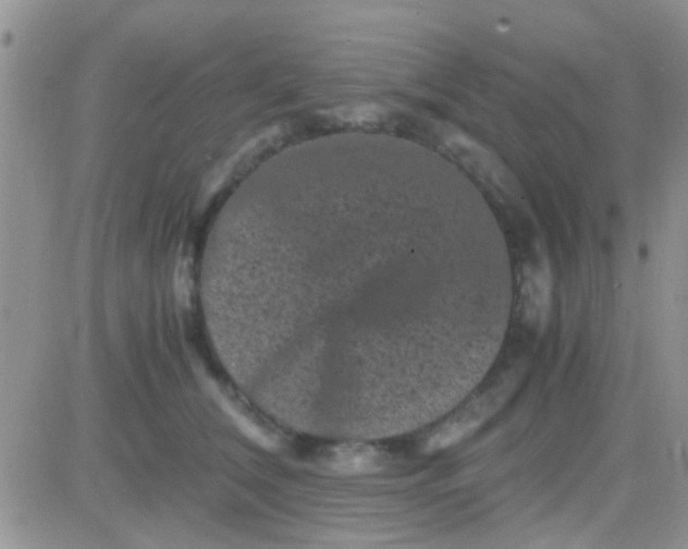 X0000081390612200701252106