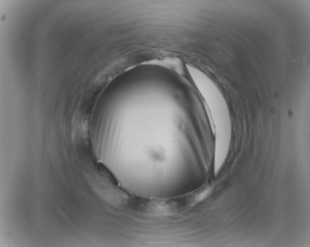 X0000081390613200701252106