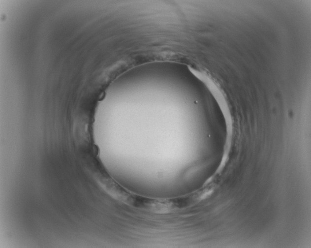 X0000081390615200701252106