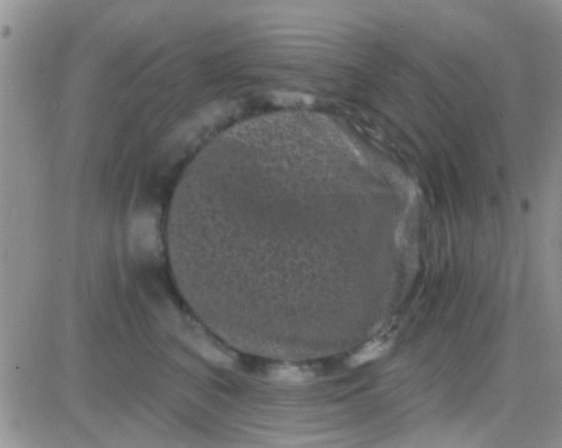 X0000081390616200701252106