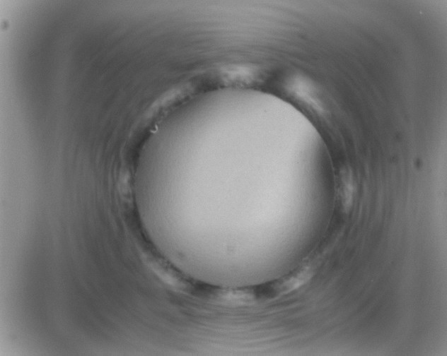 X0000081390619200701252106