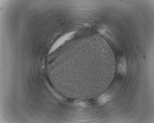 X0000081390620200701252106