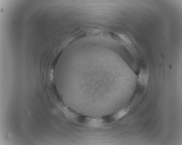 X0000081390621200701252106