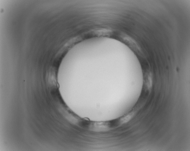 X0000081390622200701252106