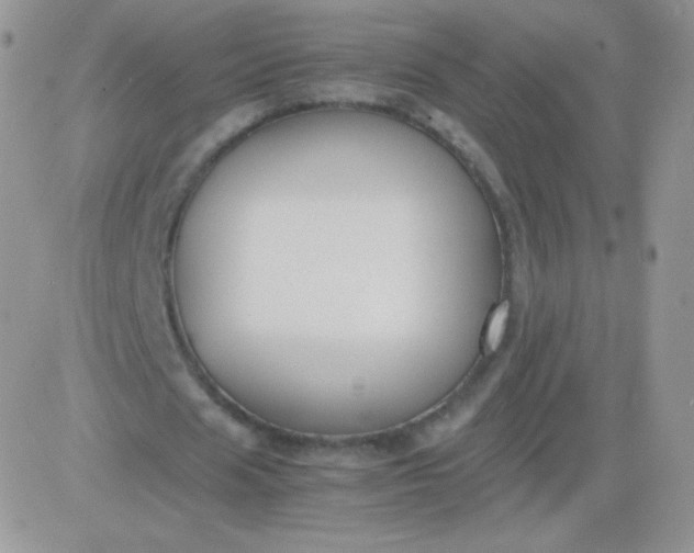 X0000081390625200701252105