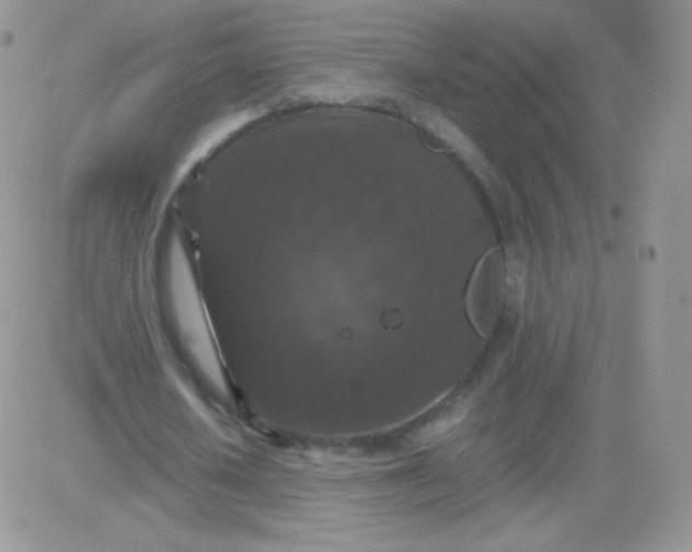 X0000081390626200701252105