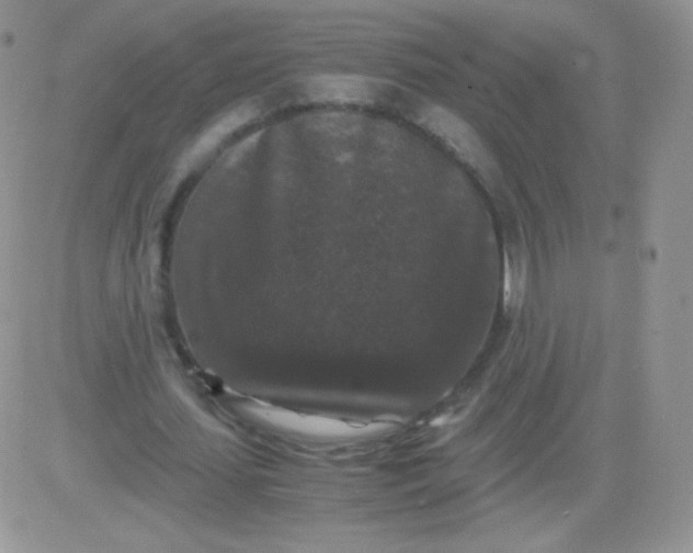 X0000081390627200701252105