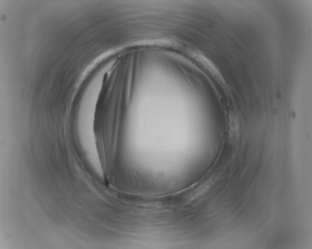 X0000081390628200701252105