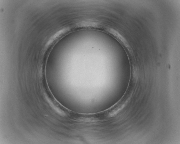 X0000081390629200701252105