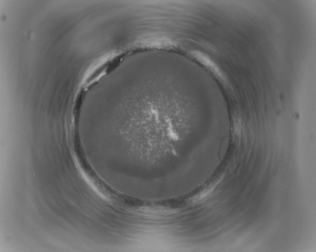 X0000081390630200701252105