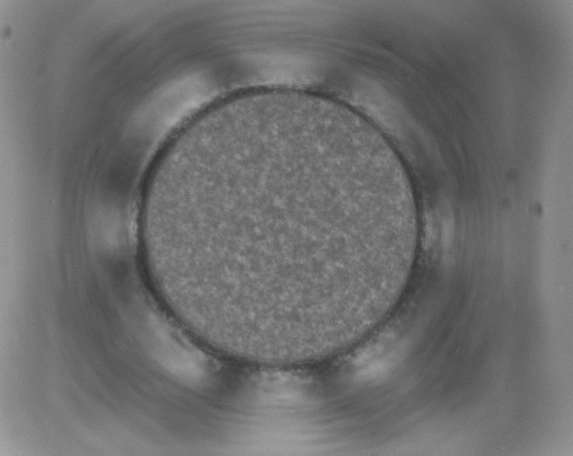 X0000081390632200701252105