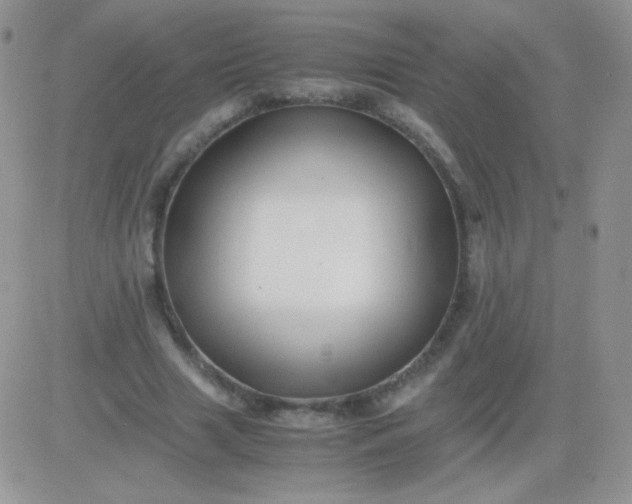 X0000081390633200701252105