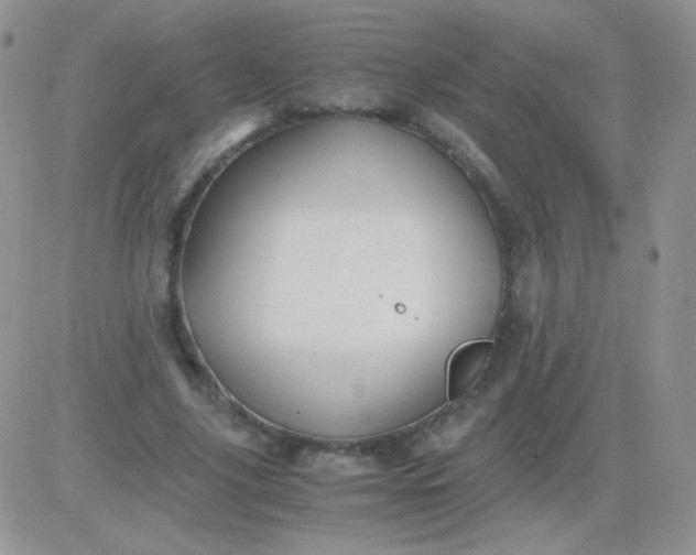 X0000081390635200701252105