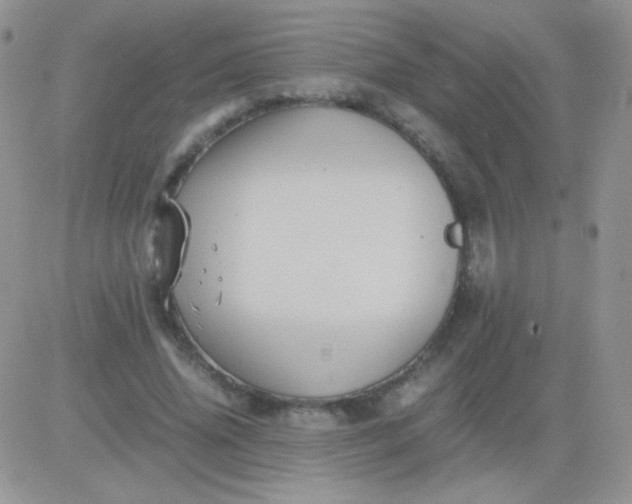 X0000081390636200701252105