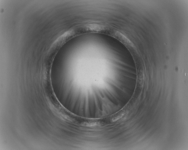 X0000081390639200701252105