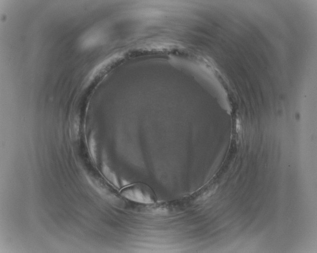 X0000081390640200701252105