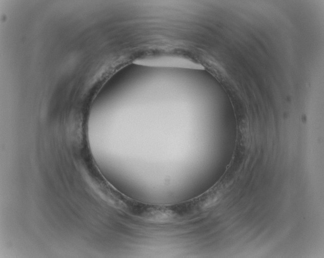 X0000081390642200701252105