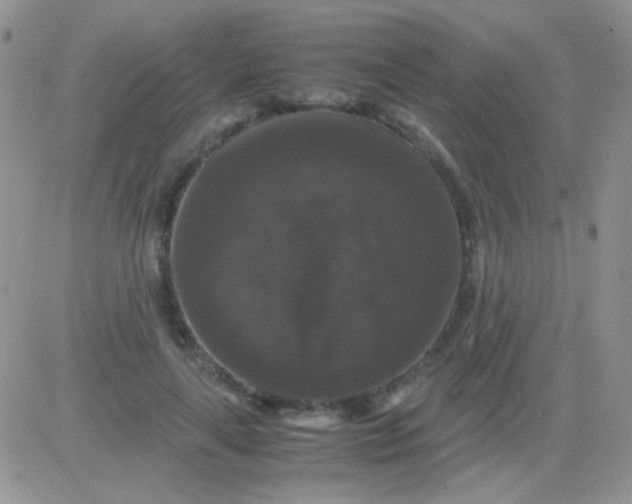 X0000081390643200701252105