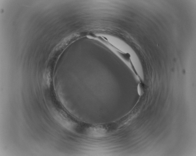 X0000081390644200701252105