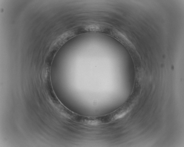 X0000081390645200701252105