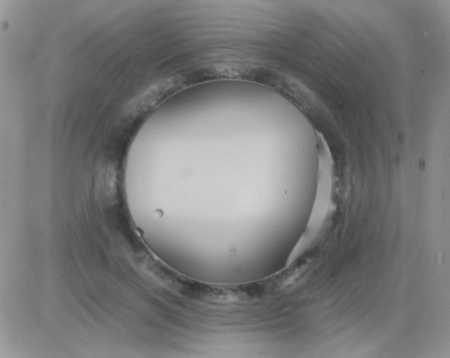 X0000081390646200701252105