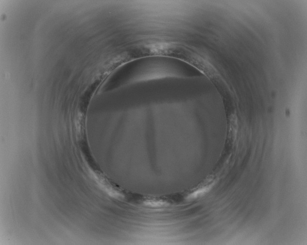 X0000081390650200701252105