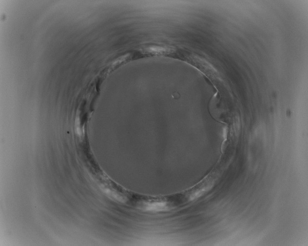 X0000081390651200701252105