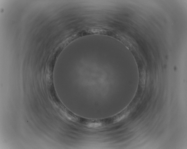 X0000081390653200701252105