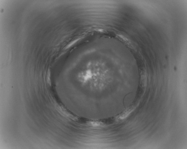 X0000081390654200701252105