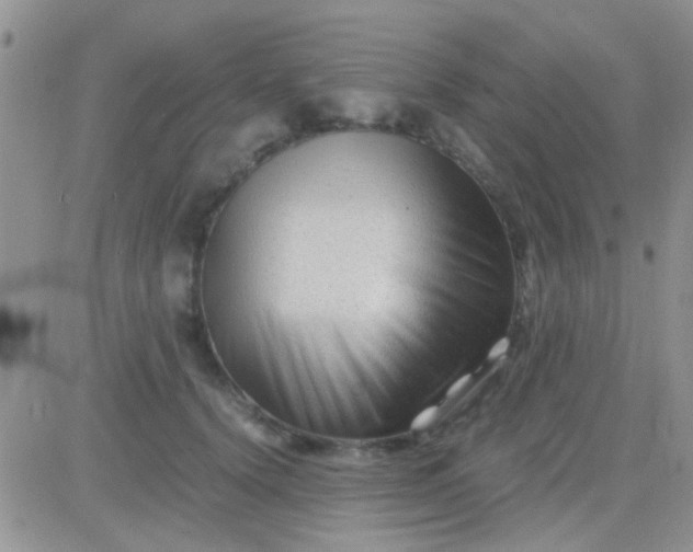 X0000081390656200701252105