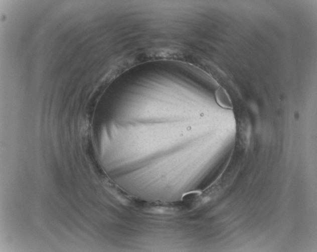 X0000081390657200701252105