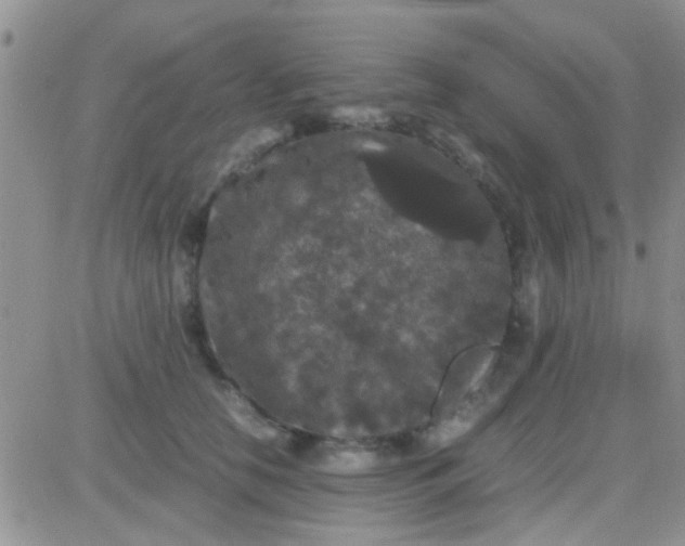 X0000081390658200701252105