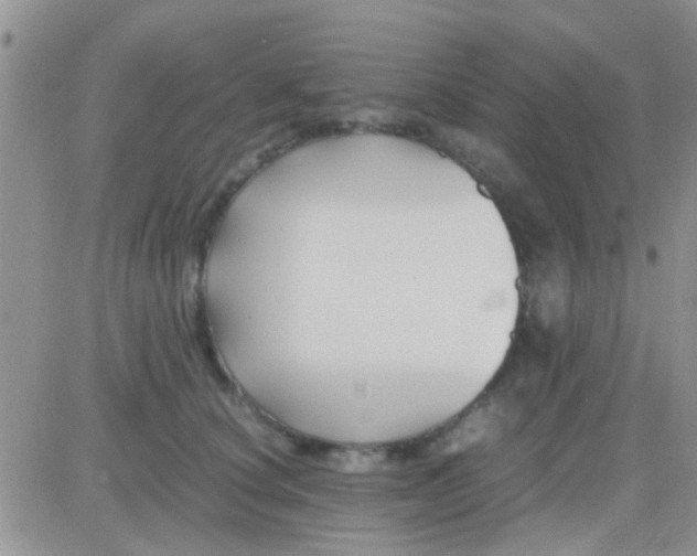 X0000081390660200701252105