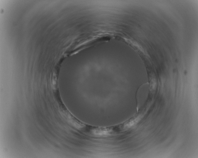 X0000081390661200701252105