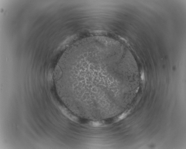 X0000081390662200701252105