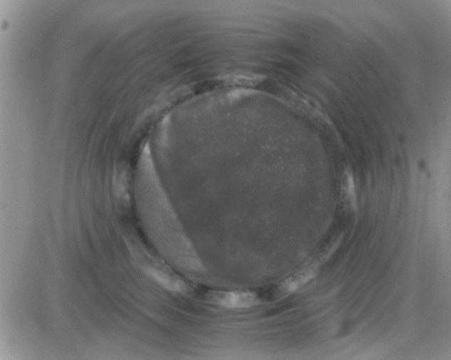 X0000081390663200701252105