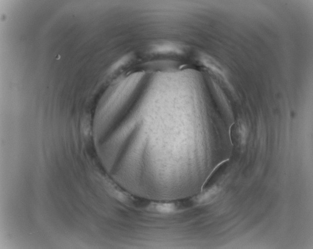 X0000081390665200701252106