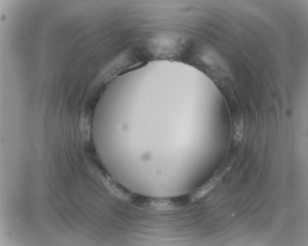 X0000081390666200701252106