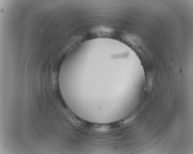 X0000081390667200701252106